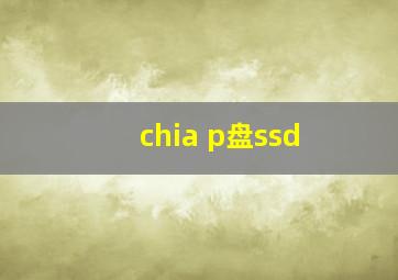 chia p盘ssd